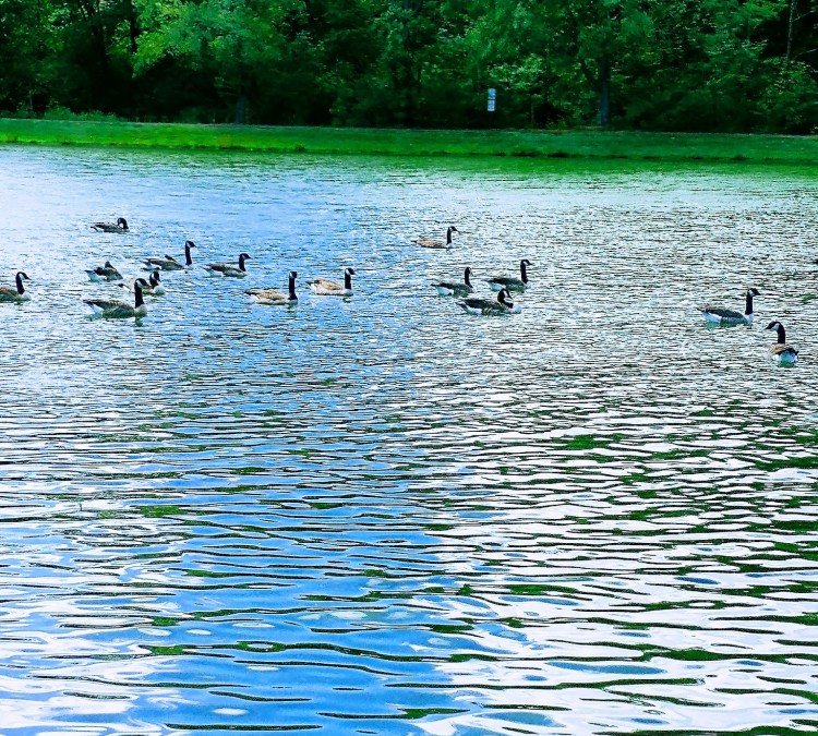 Unity Township Lakeside Park (Latrobe,&nbspPA)